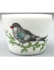 Bols Oiseaux
