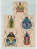 Insecte vert 20x20
